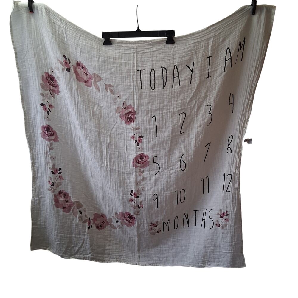 Modern Moments Gerber Girls Milestone Baby Blankets Beige Pink Roses Photo Prop